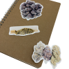 Canna Buds Sticker Pack