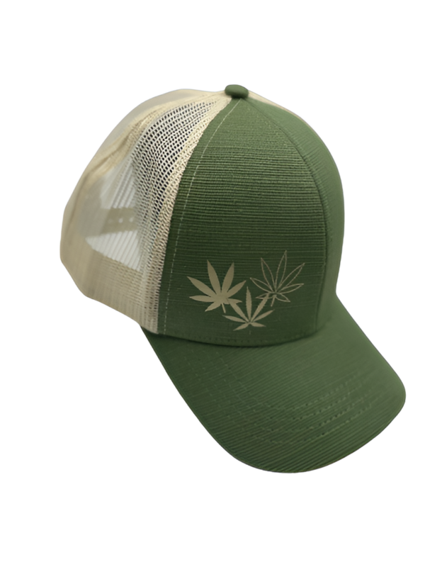 hemp novelty snapback hat